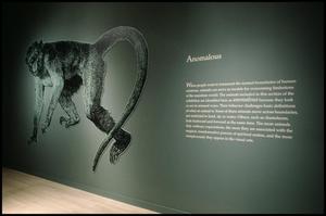 Animals in African Art: From the Familiar to the Marvelous [Photograph DMA_1533-36]