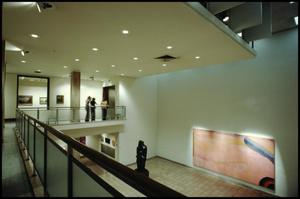Dallas Museum of Fine Arts Installation: Contemporary Gallery [Photograph DMA_90001-72]