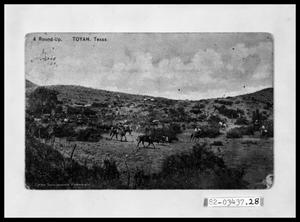 Primary view of object titled 'Cattle Roundup'.