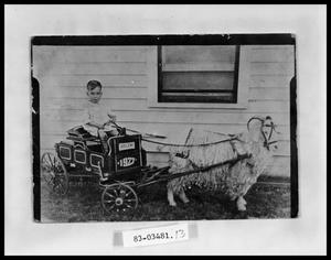 Primary view of object titled 'Boy in Goat Pulled Wagon'.