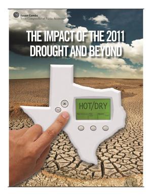 Primary view of object titled 'The Impact of the 2011 Drought and Beyond'.