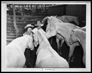 Girls and Horses in Corral