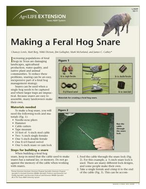 Primary view of object titled 'Making a Feral Hog Snare'.