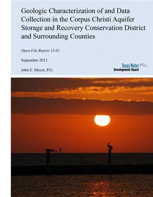Primary view of object titled 'Geologic Characterization of and Data Collection in the Corpus Christi Aquifer Storage and Recovery Conservation District and Surrounding Counties'.