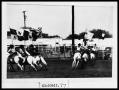 Photograph: Rodeo Grand Entry