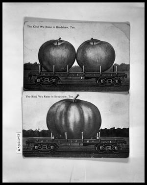 Humor Postcard, Apple; Humor Postcard, Pumpkin