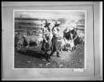 Photograph: Girls Roping Sheep