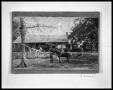Photograph: Man with Horse and Buggy
