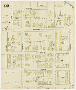 Primary view of Dallas 1888 Sheet 22