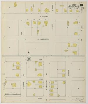 Primary view of object titled 'Mineral Wells 1907 Sheet 18'.