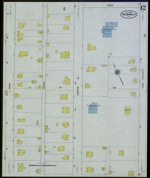 Primary view of object titled 'Brownwood 1909 Sheet 12'.
