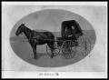 Photograph: Man and Woman in Buggy