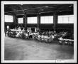 Photograph: Picnic in Hanger