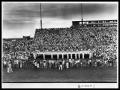 Photograph: Crowd in Football Stadium