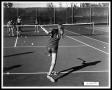 Photograph: Tennis Players