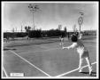 Photograph: Tennis Players