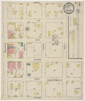Primary view of object titled 'Kaufman 1894 Sheet 1'.