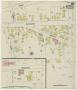 Map: Houston 1890 Sheet 19