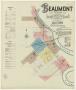Primary view of Beaumont 1889 Sheet 1