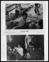 Thumbnail image of item number 1 in: 'Children at Polio Unit Eating; Children at Polio Unit Napping'.