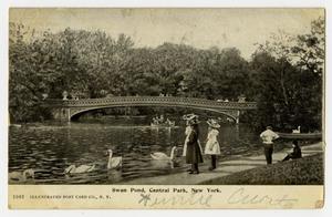 [Postcard of Swan Pond in Central Park]