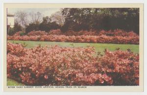 [Postcard of River Oaks Garden Club #2]