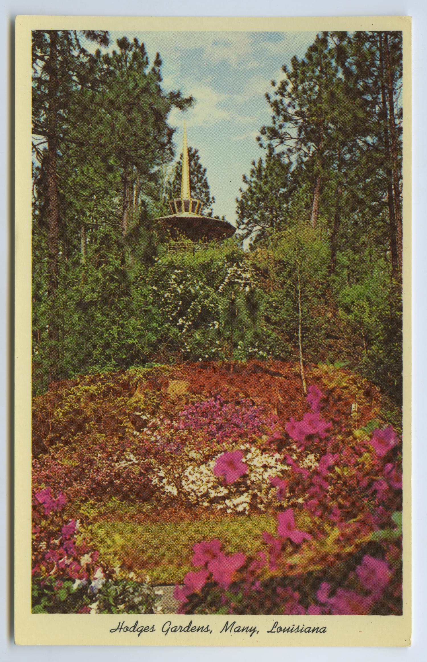 Postcard Of Hodges Gardens The Portal To Texas History