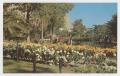 Postcard: [Postcard of Gardens at Alamo]