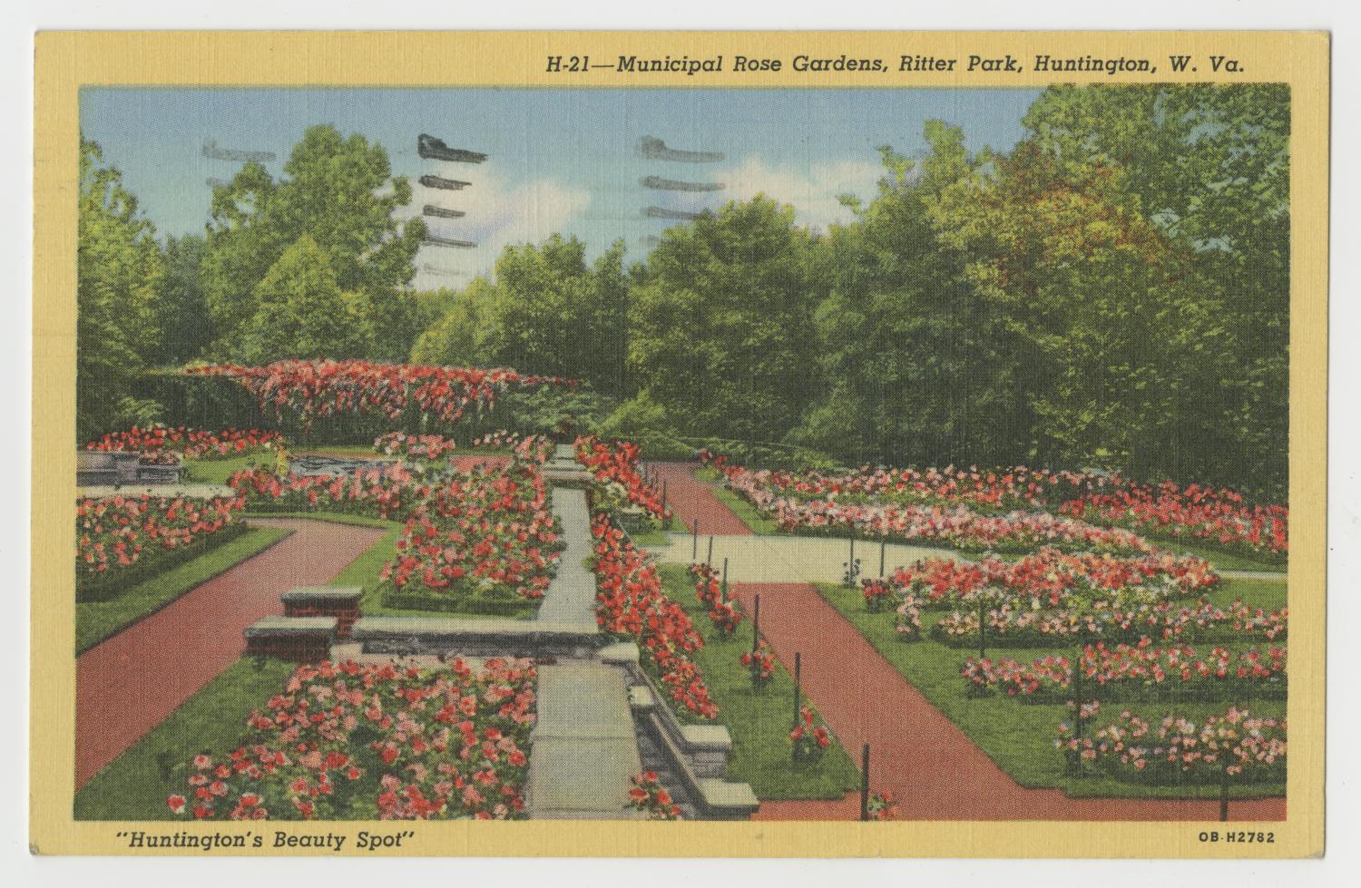 [Postcard of Municipal Rose Gardens in Ritter Park]
                                                
                                                    [Sequence #]: 1 of 2
                                                