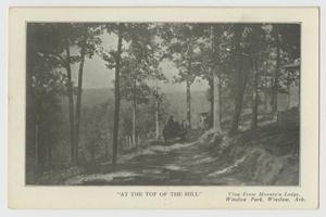 Primary view of object titled '[Postcard of Top of the Hill at Winslow Park]'.