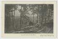 Postcard: [Postcard of Top of the Hill at Winslow Park]