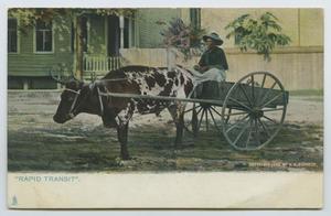[Postcard of Woman Riding Ox-Drawn Cart]
