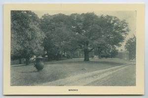 Primary view of object titled '[Postcard of Bremo Trees]'.