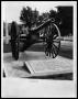 Photograph: Fort Babe Shaw Cannon