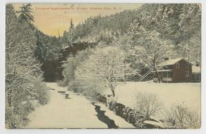 Primary view of object titled '[Postcard of Watkins Glen in Winter]'.