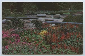 [Postcard of Ritter Park Municipal Rose Gardens]