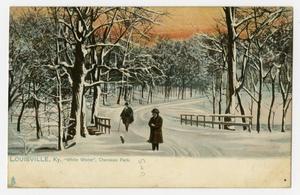 [Postcard of White Winter in Cherokee Park]