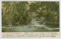 Primary view of [Postcard of Swannanoa River]