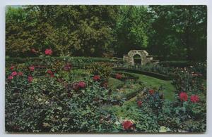 [Postcard of Municipal Rose Gardens, Ritter Park 2]