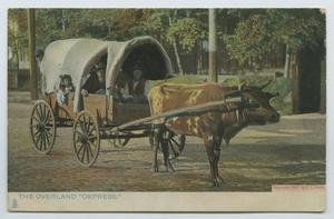 [Postcard of an Ox-Drawn Wagon]