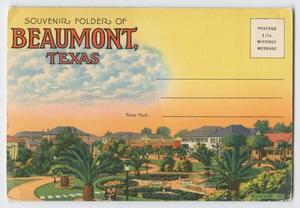 Primary view of object titled '[Fold Out Postcard of Beaumont 2]'.