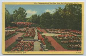 [Postcard of Municipal Rose Gardens]