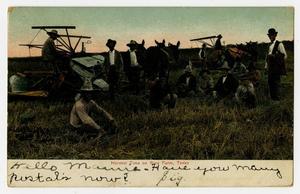 [Postcard of Harvest Time on Rice Field, Texas]