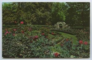 [Postcard of Municipal Rose Gardens, Ritter Park]