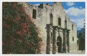 [Postcard of Alamo Entrance]