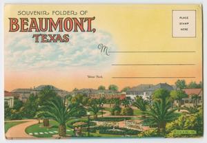 Primary view of object titled '[Fold Out Postcard of Beaumont]'.