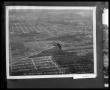 Photograph: Bi-Plane Stunt Flying