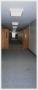 Photograph: [Photograph of Classroom Hallway in Cooke Building]
