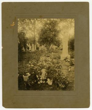 [Cemetery in Brenham]