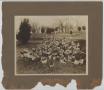 Photograph: [Photograph of Grave of Mary E. Wheatly]